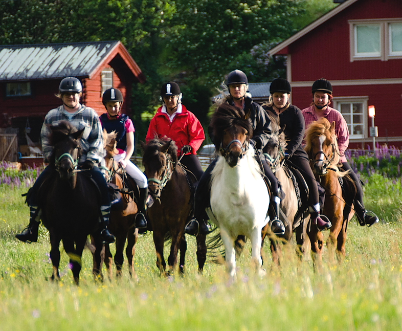 Skuggi, Jólia, Draumur, Kembingur, Jarl och Strákur